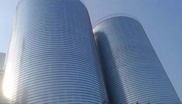 保山2座混凝土高架卷板仓